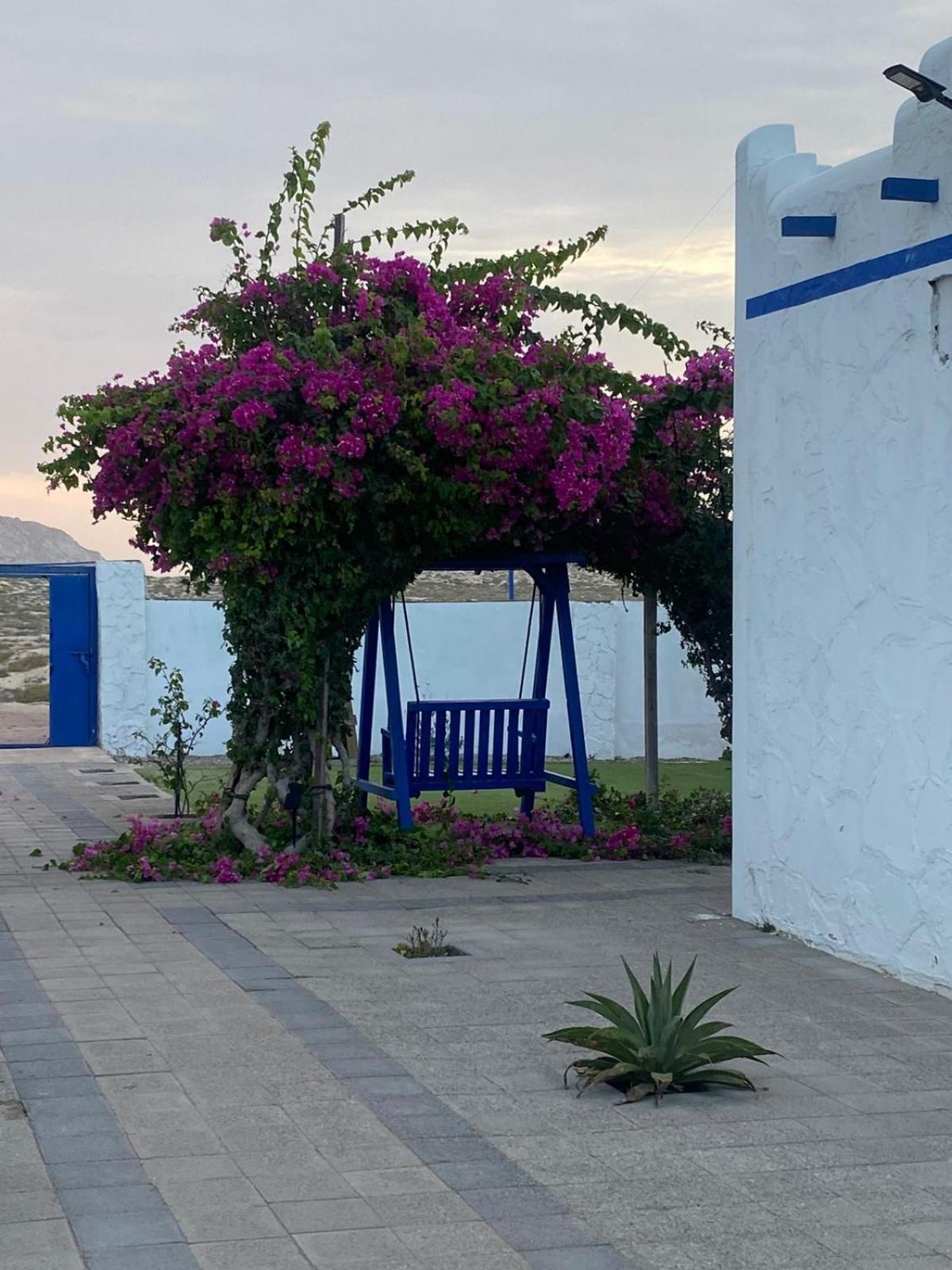 אל שרקייה Al-Ashkhara Beach Resort منتجع شاطئ الأشخرة מראה חיצוני תמונה