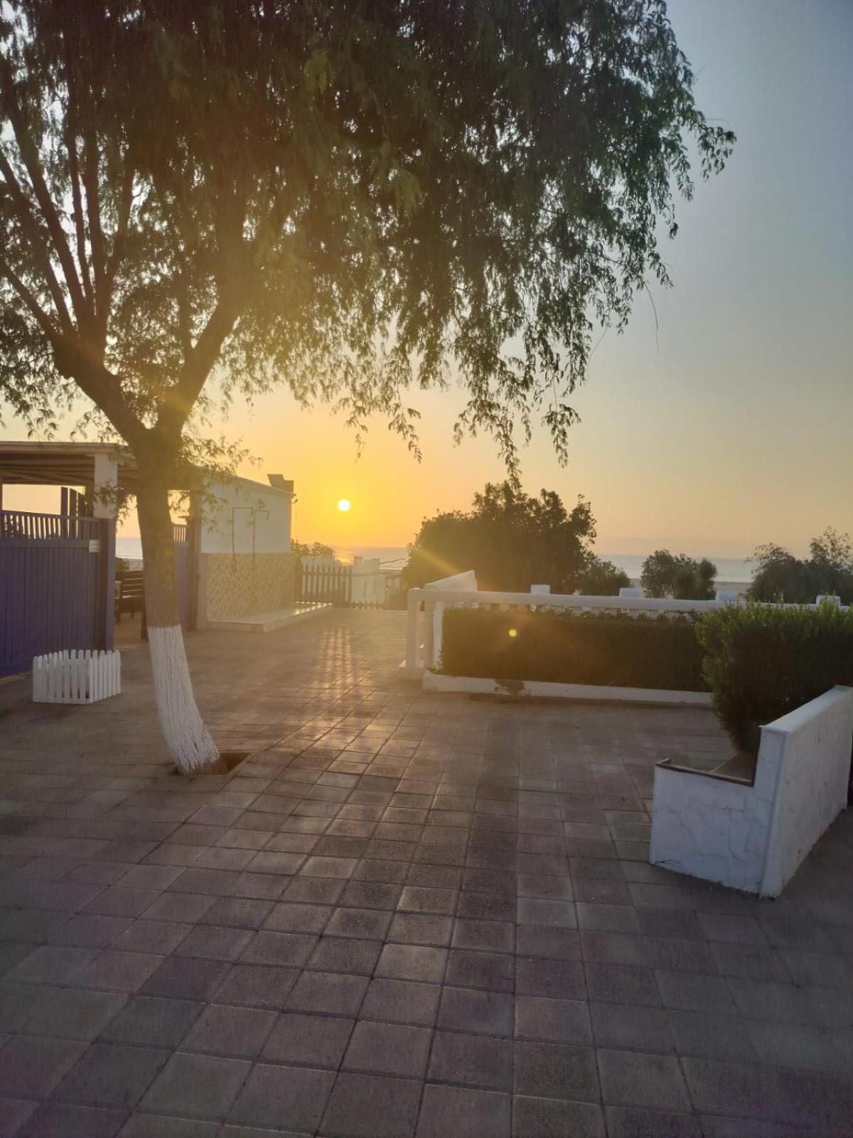 אל שרקייה Al-Ashkhara Beach Resort منتجع شاطئ الأشخرة מראה חיצוני תמונה