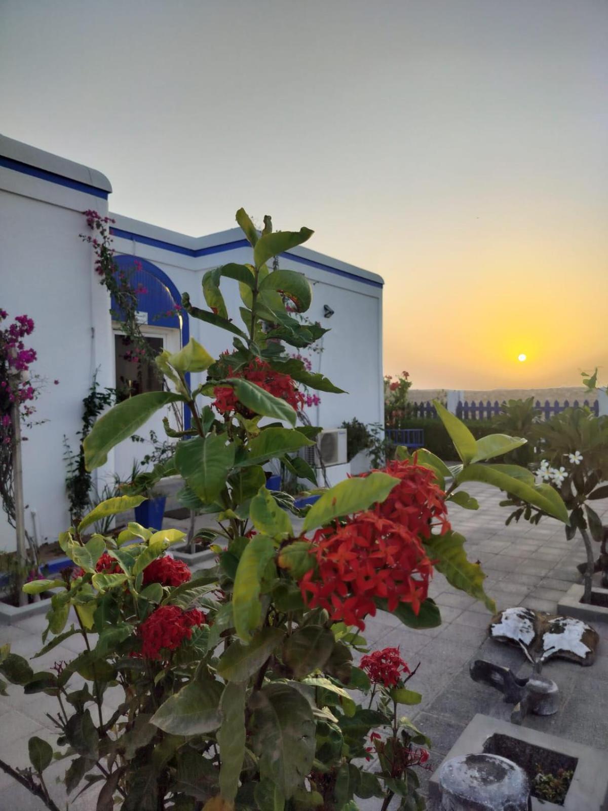 אל שרקייה Al-Ashkhara Beach Resort منتجع شاطئ الأشخرة מראה חיצוני תמונה