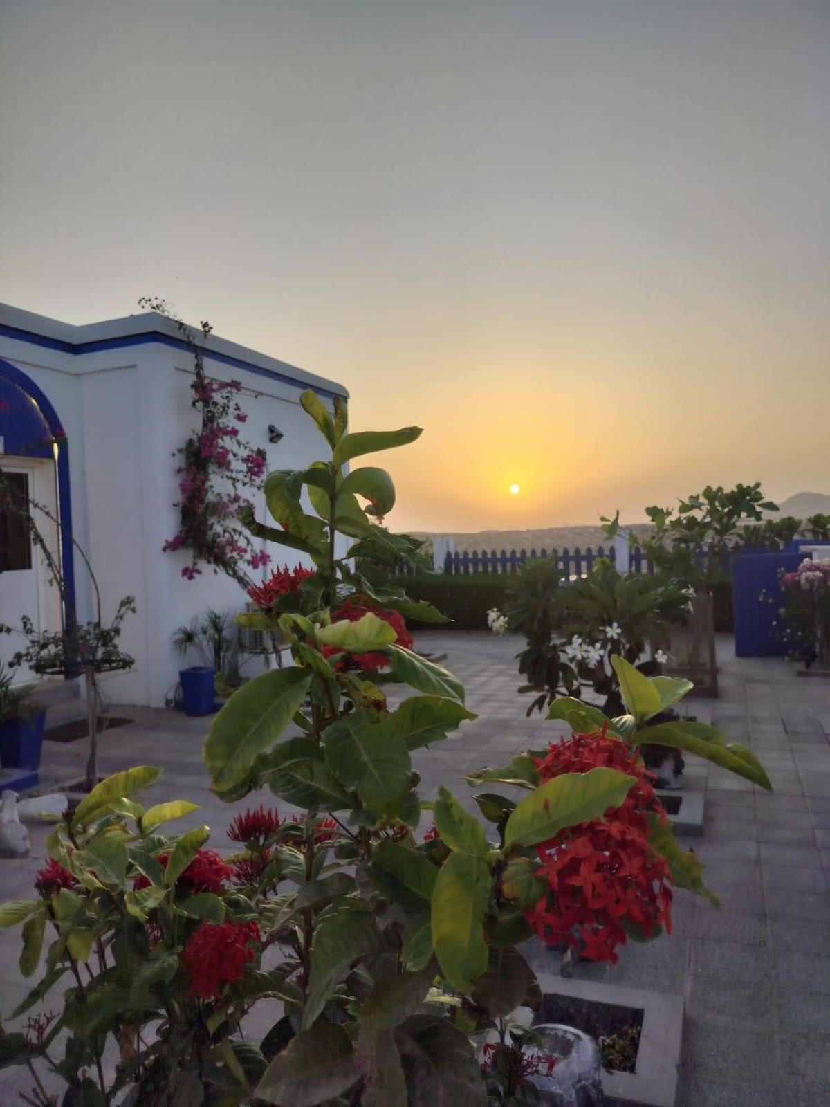 אל שרקייה Al-Ashkhara Beach Resort منتجع شاطئ الأشخرة מראה חיצוני תמונה