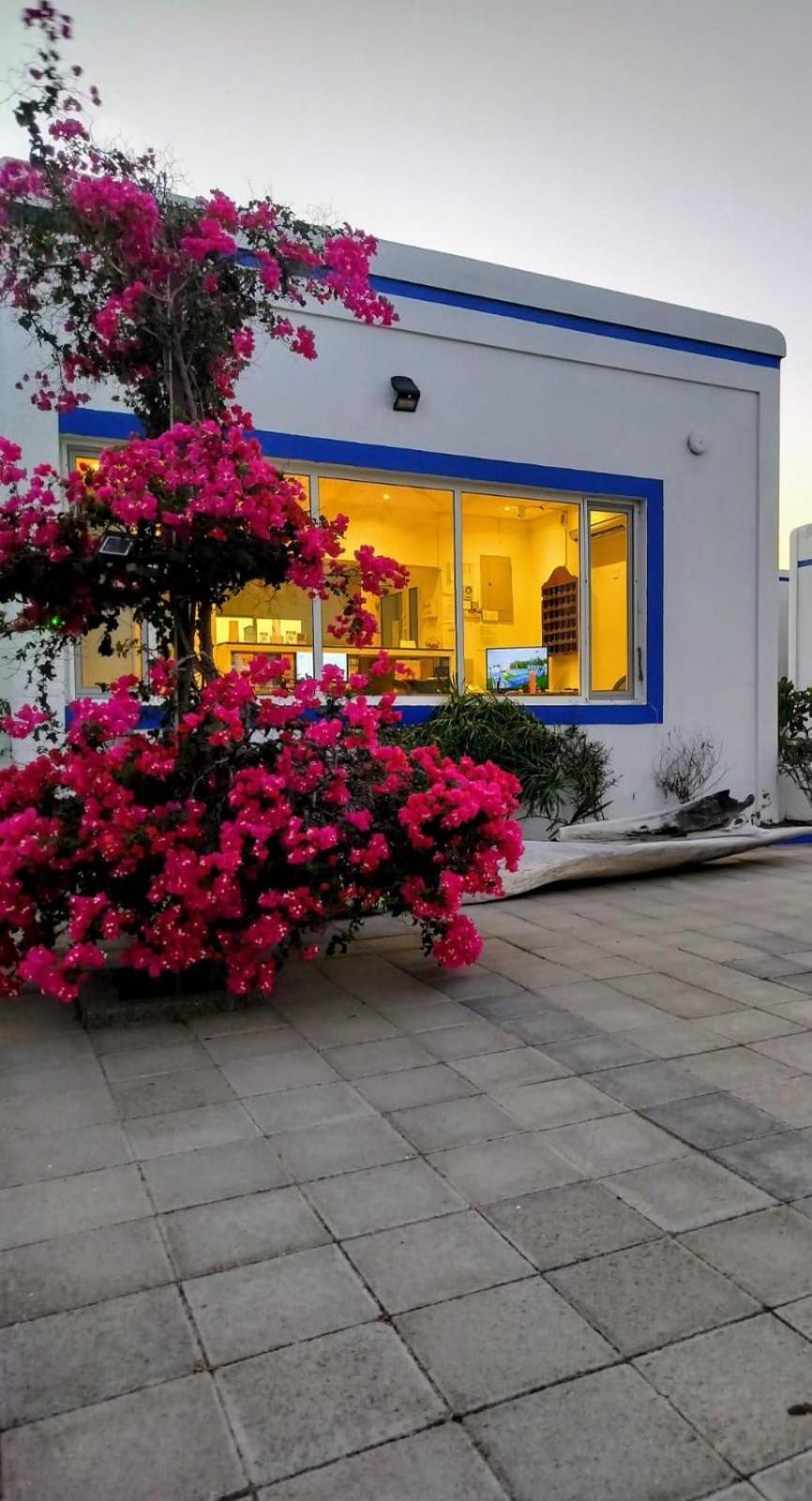 אל שרקייה Al-Ashkhara Beach Resort منتجع شاطئ الأشخرة מראה חיצוני תמונה