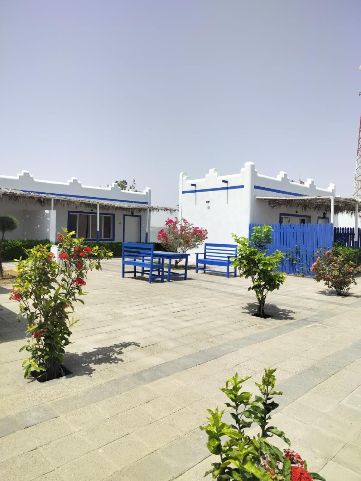 אל שרקייה Al-Ashkhara Beach Resort منتجع شاطئ الأشخرة מראה חיצוני תמונה
